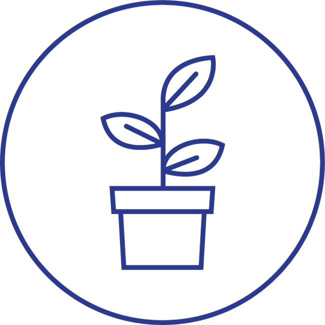 growth-icon